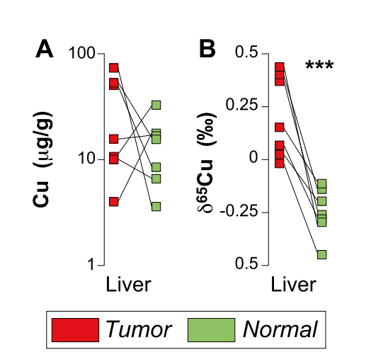 肝癌患者病变细胞相比于其健康细胞的Cu同位素组成